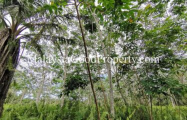 Pontian / Parit Kudus Agricultural Land for Sale