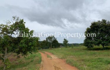 Kulai / Senai Durian Farm For Sale