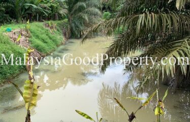 Kulai / Senai Durian Farm For Sale