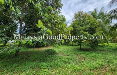 Tanjung Piai land For Sale