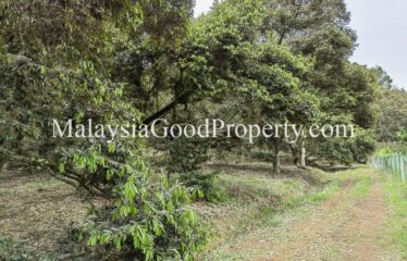 Gelang Patah land for Sale