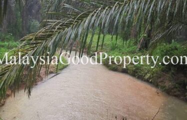 Kota Tinggi Air Tawar 2 Agriculture Land For Sale