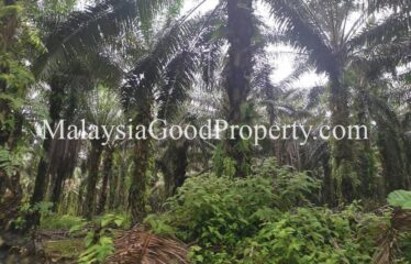 Kota Tinggi Air Tawar 2 Agriculture Land For Sale