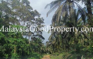 Kota Tinggi Air Tawar 2 Agriculture Land For Sale