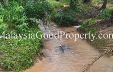 Kota Tinggi Air Tawar 2 Agriculture Land For Sale