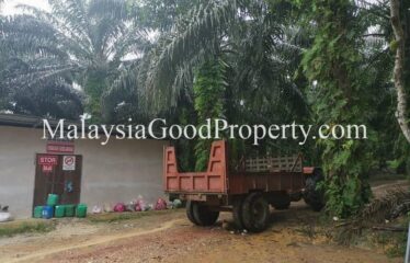 Kota Tinggi Air Tawar 2 Agriculture Land For Sale