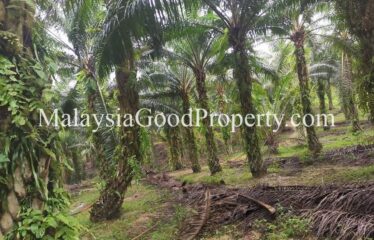 Kota Tinggi Air Tawar 2 Agriculture Land For Sale