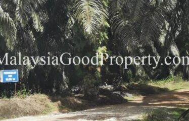 Kota Tinggi Air Tawar 2 Agriculture Land For Sale