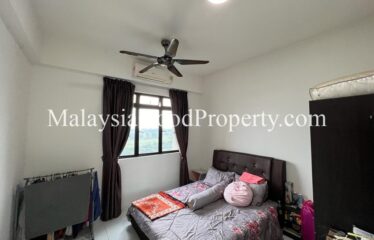 Sky Oasis For Sale