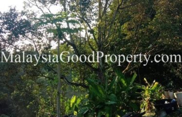 Taman Pulai Emas Agriculture Land For Sale