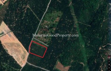 Simpang Renggam Oil Palm land for sale