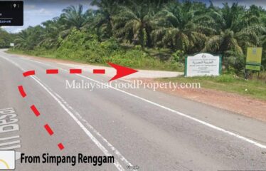 Simpang Renggam Oil Palm land for sale