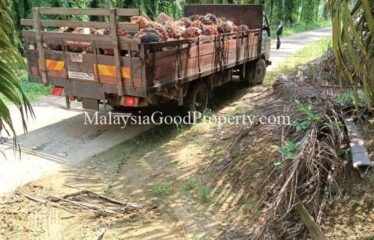 Simpang Renggam Oil Palm land for sale