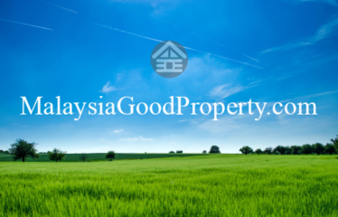 Seelong Jaya industrial Land for rent