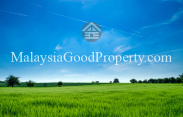 Simpang Renggam Land For Sale