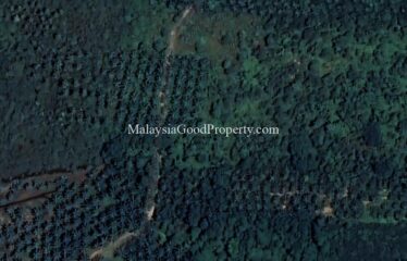 Kota Tinggi Land For Sale