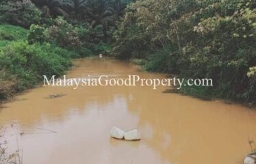 Machap Johor Durian Farm @ 9 acres Land For Sale