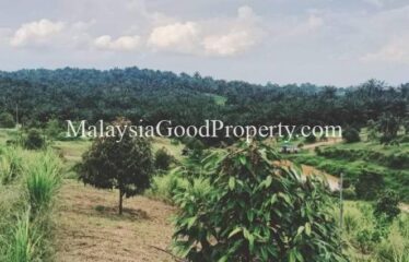 Machap Johor Durian Farm @ 9 acres Land For Sale