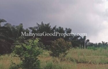 Machap Johor Durian Farm @ 9 acres Land For Sale