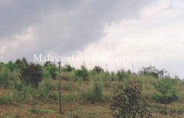 Machap Johor Durian Farm @ 9 acres Land For Sale