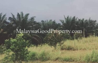 Machap Johor Durian Farm @ 9 acres Land For Sale