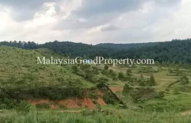 Machap Johor Durian Farm @ 9 acres Land For Sale