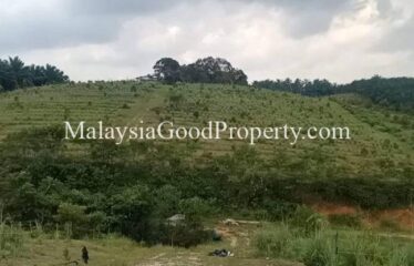 Machap Johor Durian Farm @ 9 acres Land For Sale