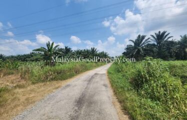 Machap Johor Durian Farm @ 9 acres Land For Sale