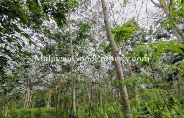 Pontian / Parit Kudus Agricultural Land For Sale 9.6372 Acres @ RM1.638 mil