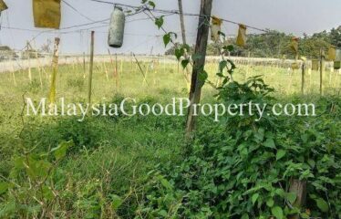 Seelong Industrial Land For Sale 7 Acres For Sale RM 18 / psf