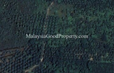 Kota Tinggi agriculture land 4.6 acres for sale